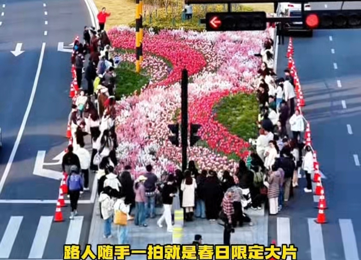 杭州人有自己的春天仪式感杭州人过春天，全在一口春菜里！马兰头拌香干、春笋炖咸肉、