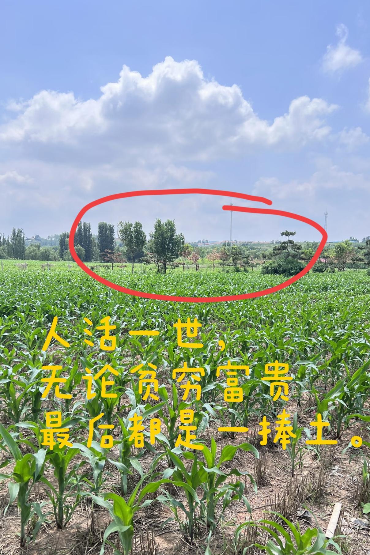 参加老家大爷的葬礼，他女儿女婿在灵堂前闹的不可开交，就因为夜里守灵的问题。我