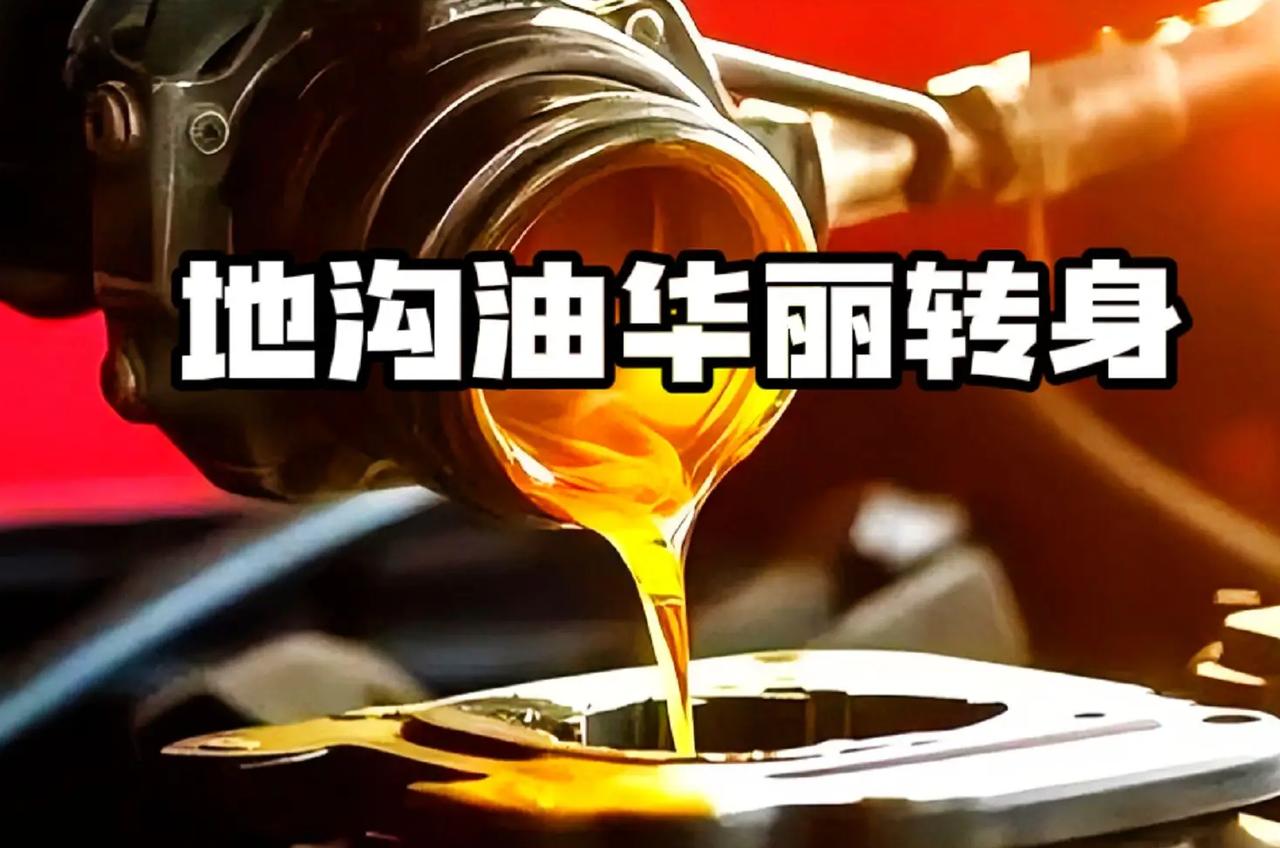 国内首次！餐厨废油变航油！国航完成SAF全链条闭环国内可持续航空燃料