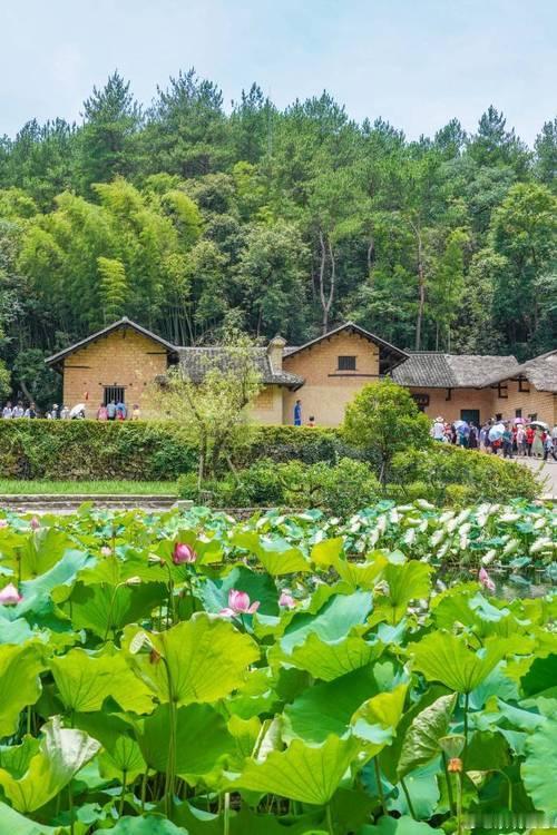 湖南有哪些值得旅游的景点?湖南省是一个风景秀丽、文化底蕴丰富的地方,拥有许多值得