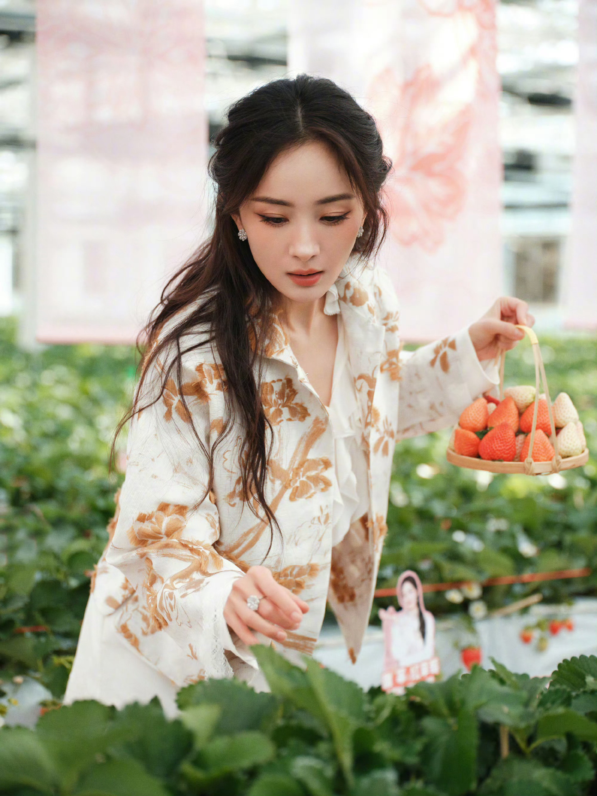 杨幂ym杨幂宁绣绣美好的夏日，饱含草莓的甜蜜与幸福~胖胖们早上好~小
