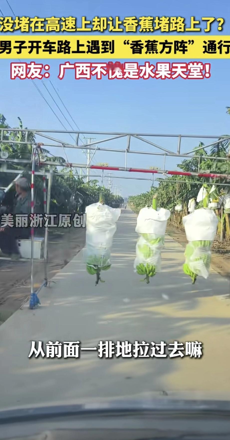 哈哈，这回堵车的理由可太新鲜了！最近有位司机在路上开着车，没遇上常见的大堵车
