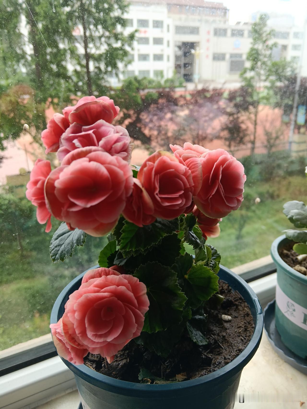 别不相信，其实你生日当天，就注定了你的福气：1、吃喝不尽：初三，十六，二十四，