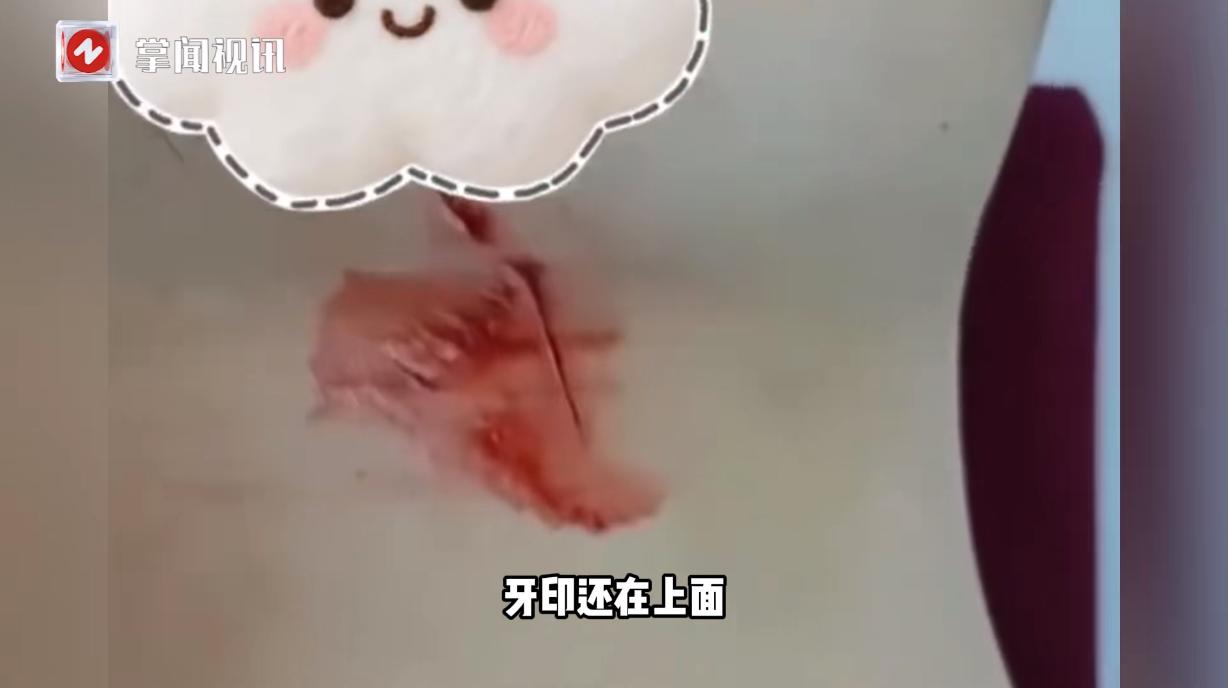 “活久见！”9月2日，辽宁大连，一男子在海边钓鱼时，突然钓上来一条重达几十斤的鲅