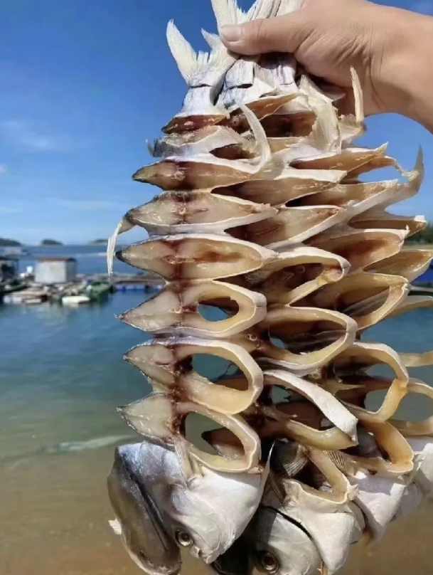 这是东北的啥特色美食？应该怎么做才好吃？