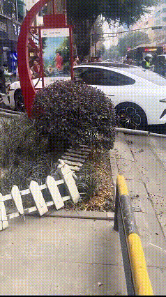 谈之色变，“绿化带战神”之名可不是虚的。3月7日，有网友发布视频，画面显示在四