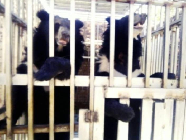 真是细思极恐，网传泰国海军陆战队进入一家柬埔寨赌场，空无一人的赌场深处，竟然发现