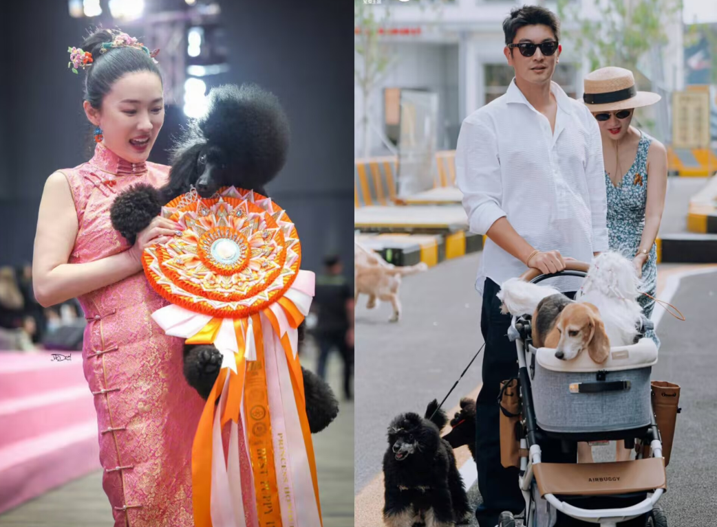 霍思燕当年在娱乐圈是出了名的“狗狗控”，追她的人能从横店排到朝阳区，可她择偶标准