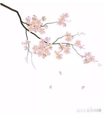 古书上记载，宋朝有一个人，偶然去相国寺玩，花了一百钱，在地摊上买了一块石头，准备