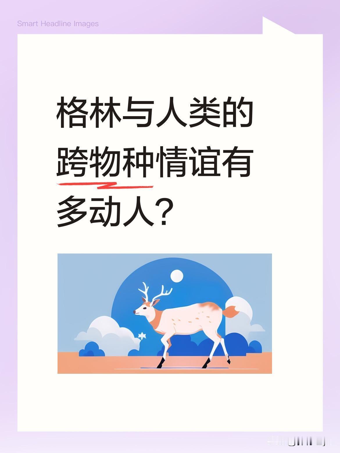 格林与人类的跨物种情谊有多动人？纪录片中，被救助的狼崽格林回归狼群后，总在熟悉