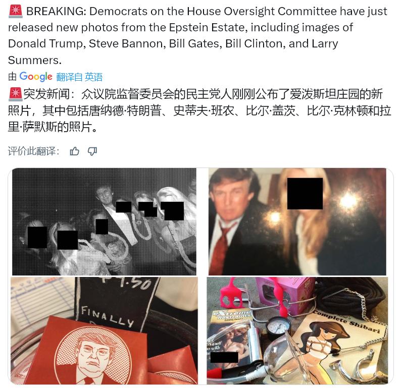 快讯！多家美媒报道：众议院监督委员会的民主党人刚刚公布了爱泼斯坦庄园的新照片，其