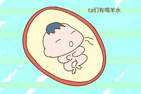 胎儿在妈妈肚子里是怎样处理自己的大小便的?