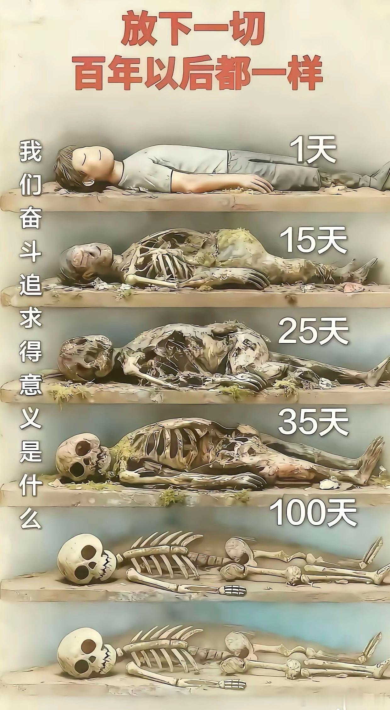 都是这样的结果，还有什么能放不下的………