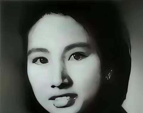 1948年，林颖改嫁了，她是彭雪枫的遗孀，身带烈士之子。她嫁给了马列，一个不符合