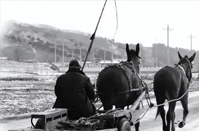 1968年秋天，河北围场，一个老迈的前土匪，突然冲进了公安局，脸色苍白、眼神慌张