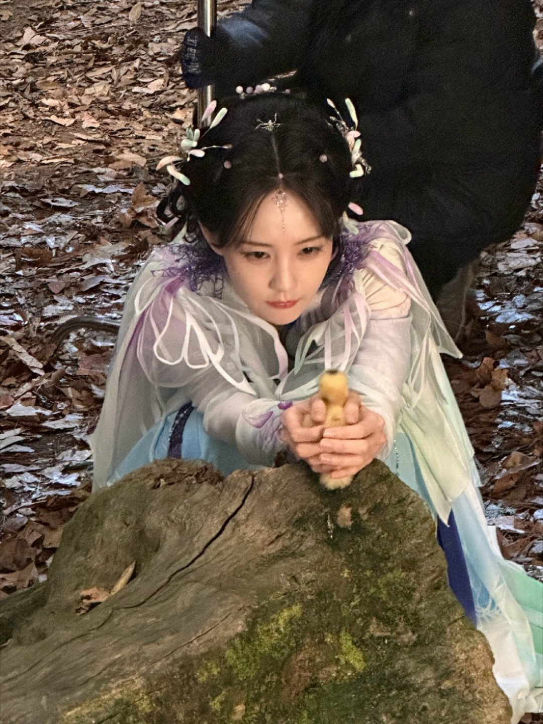 谁还不知道李一桐说她要放一个g的照片给我们看？​​​