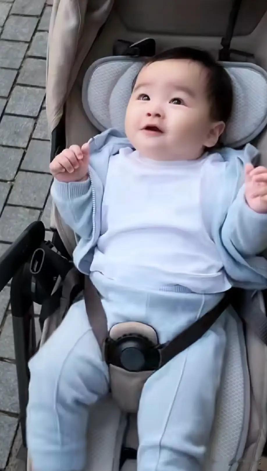 筱梅又晒汪宝儿啦！八个月大的小家伙越来越讨喜，小表情丰富极了，也越来越爱笑，简直