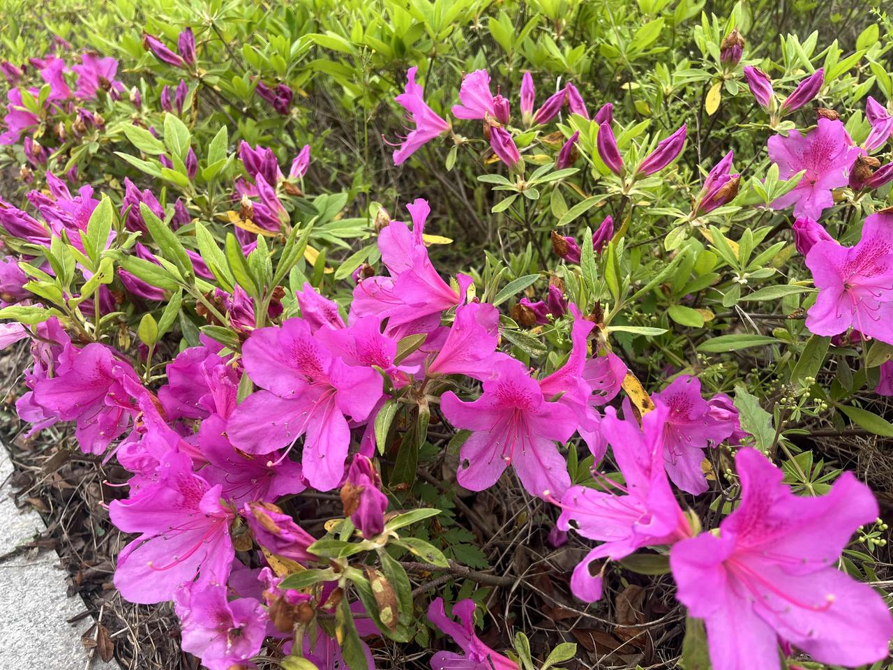 你以为养生得烧钱？错了。身体这玩意儿，你糊弄它，它迟早糊弄你。真正顶级的续命