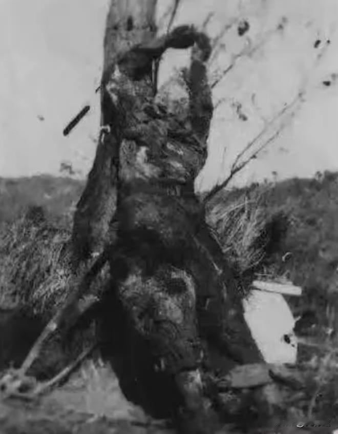 上甘岭战役志愿军45师烈士遗照一一照片由原志愿军45师前线指挥所秘书谢万丁捐献