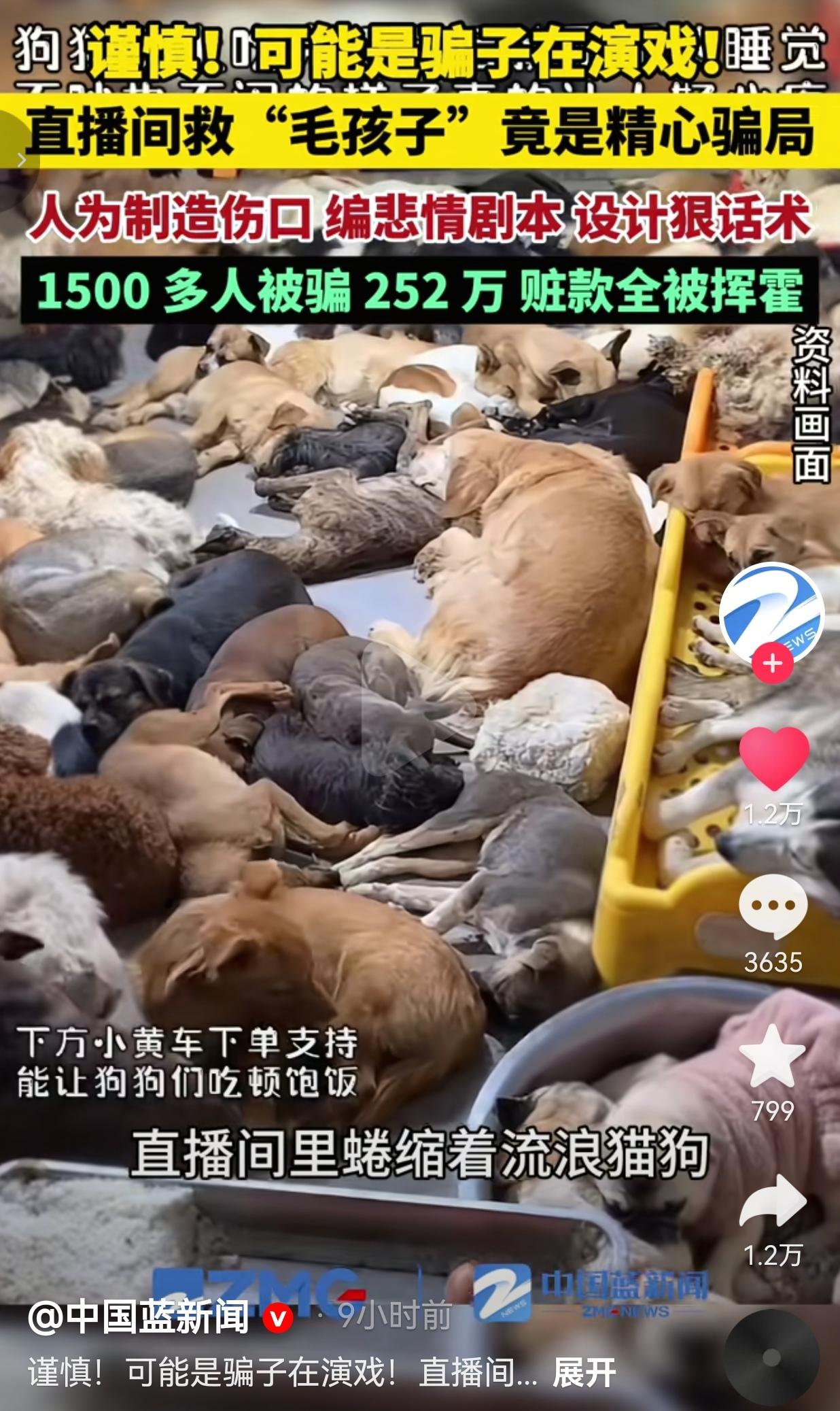 见过骗钱的，没见过拿小动物的命来骗钱的！这群主播为了流量和利益，简直没有人性，为