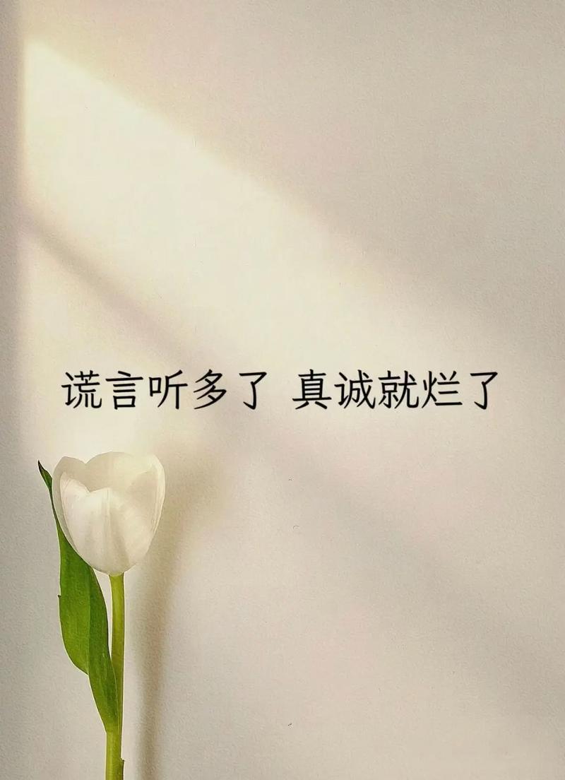 心这东西，最贵，也最不值钱贵在给了别人，对方就当个宝，不值钱在收回来，