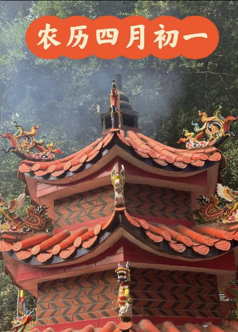 “热不热，就看四月初一”，今年三伏天会大热吗？阳历平淡的日常，在农历四月初