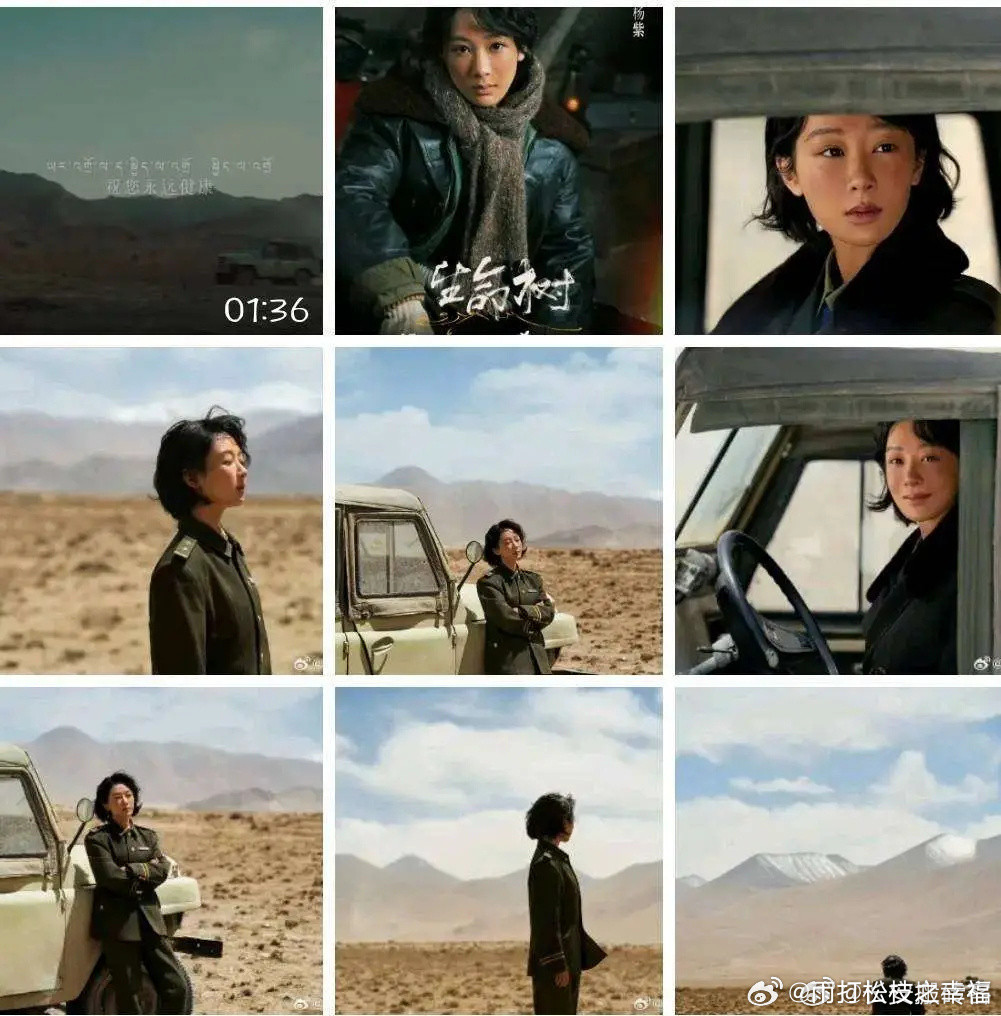 杨紫白玉兰提名第31届白玉兰奖提名尚未公布，杨紫凭借《生命树》中的突破性表演成