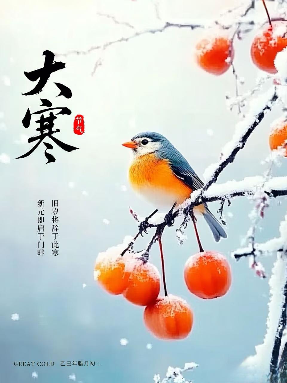 明日大寒，无论多忙，牢记“1要喝、2要防、3不坐、4不洗”，温暖迎新年。明日