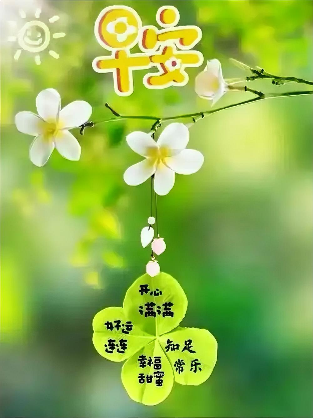 天光初绽，鸟鸣清脆，岁月安然。分享早安风景早晨美图打卡