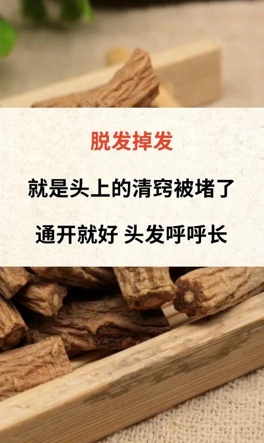 脱发掉发就是头上的清窍被堵了通开就好头发呼呼长脱发说白了就是痰毒堵住了