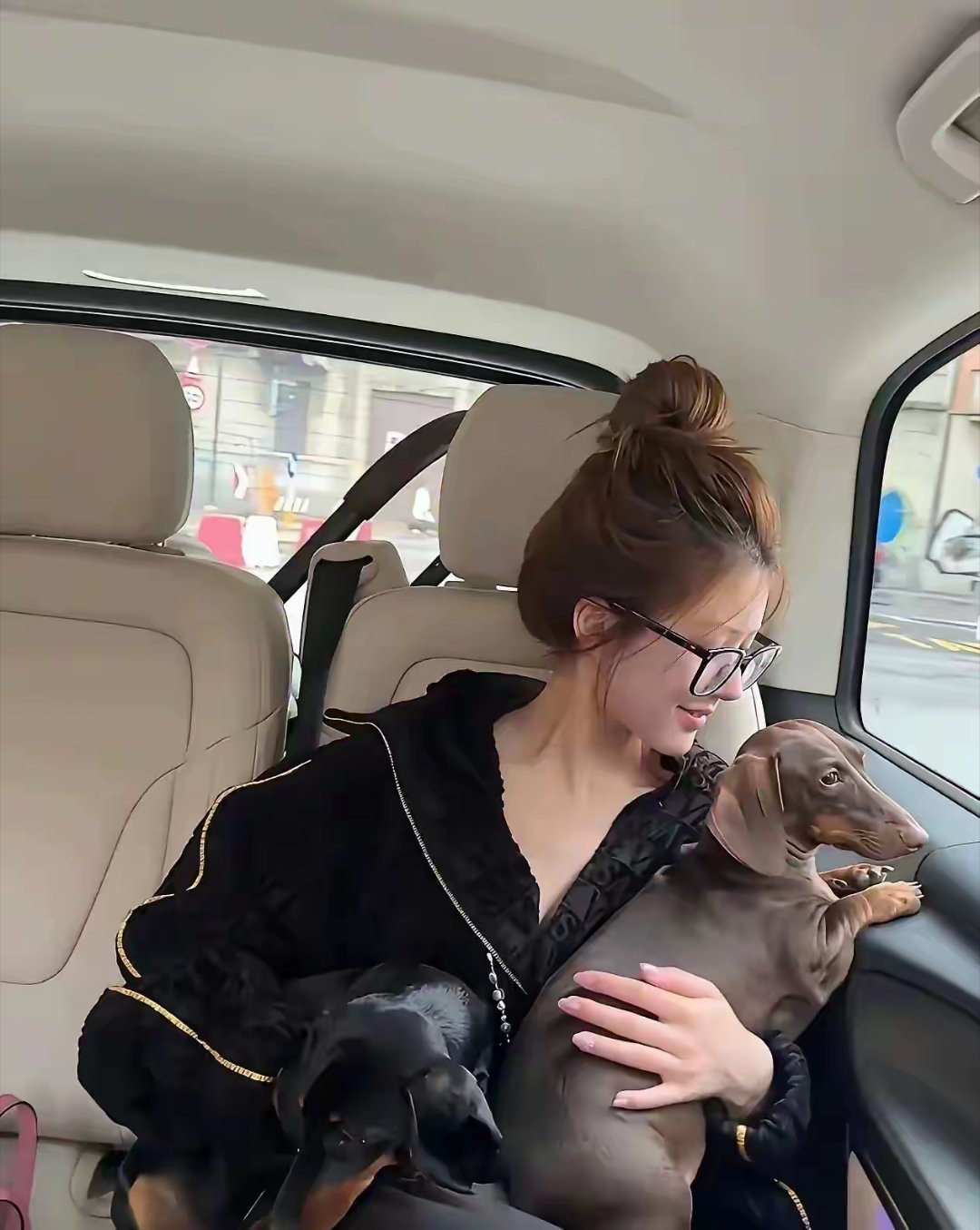 赵露思素颜状态好绝！有人知道这是什么品种的狗吗？