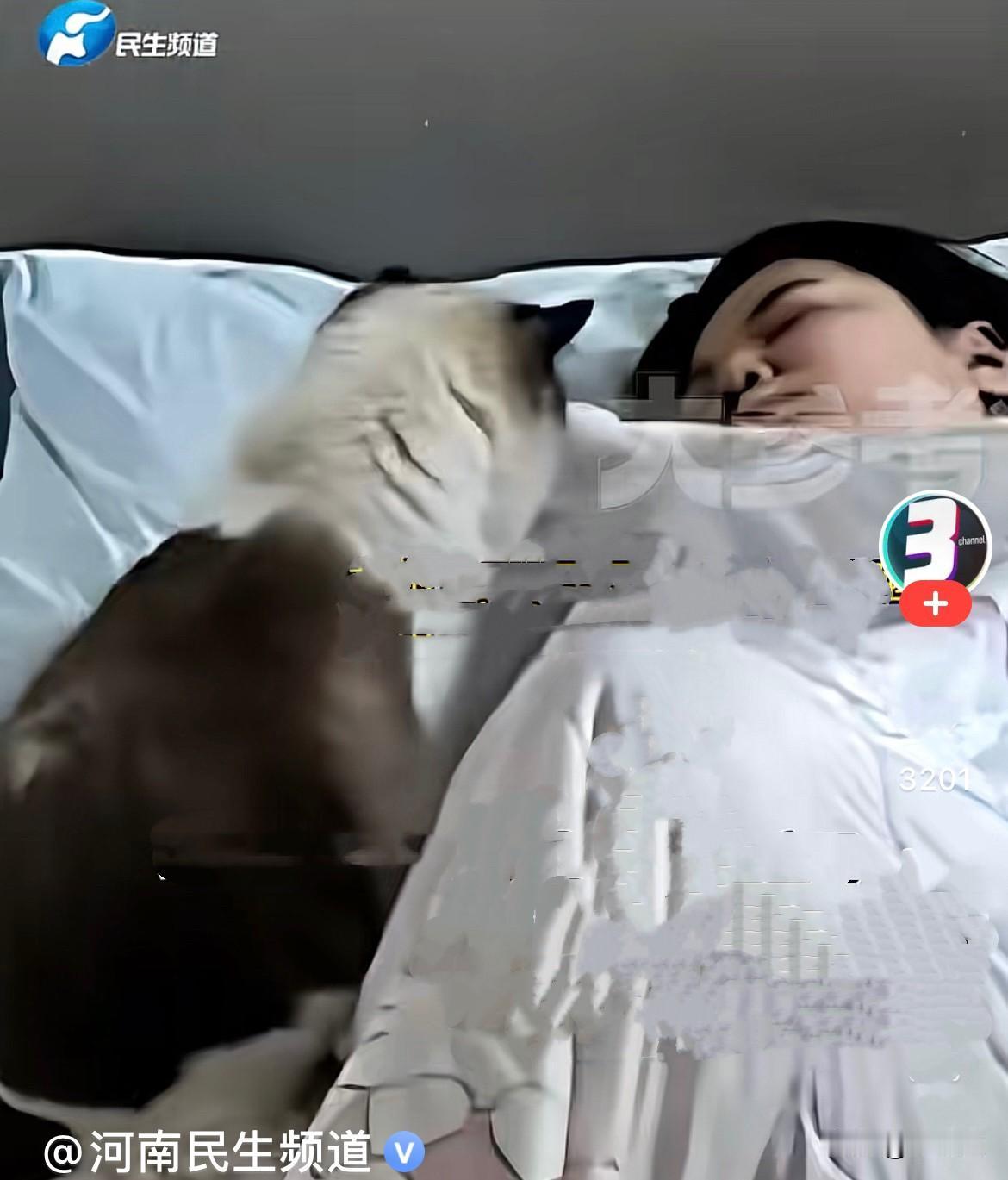 近日，山东临沂一户人家的猫咪立大功了…….当晚，宝妈陪着宝宝熟