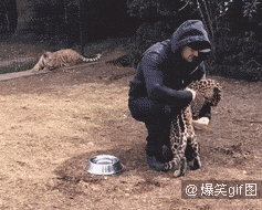 嘿嘿嘿我只是复习一下狩猎动作嘛