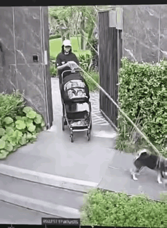 这段视频有人说，看得我后背发凉，确实是，我也觉得看这段视频后背发凉！女子推着