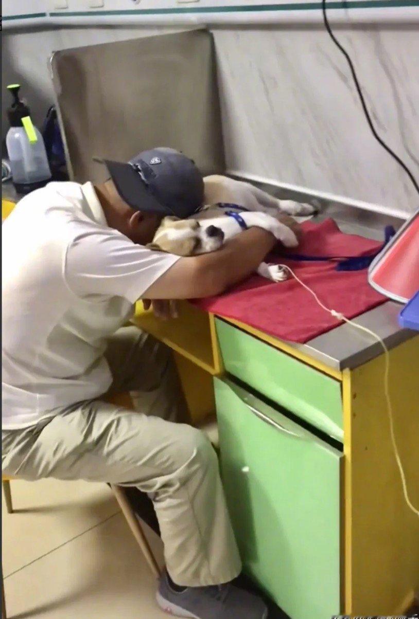 大叔带着年老的狗狗看病，大叔趴在狗狗身上睡着了，狗狗也依偎在主人身边睡着了。据网
