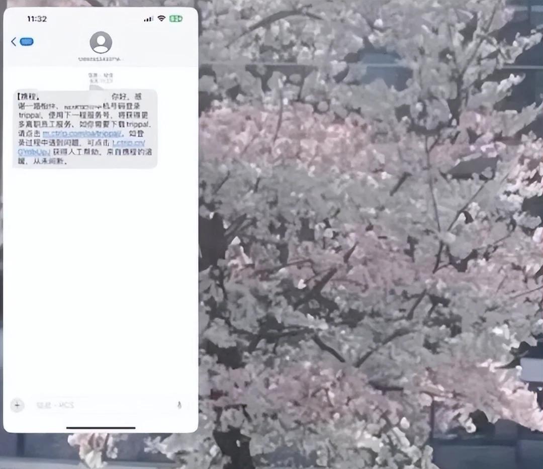 携程怎么全员离职了？一直以来，小编外出旅行，都是在携程订票、住宿，员工离职了，