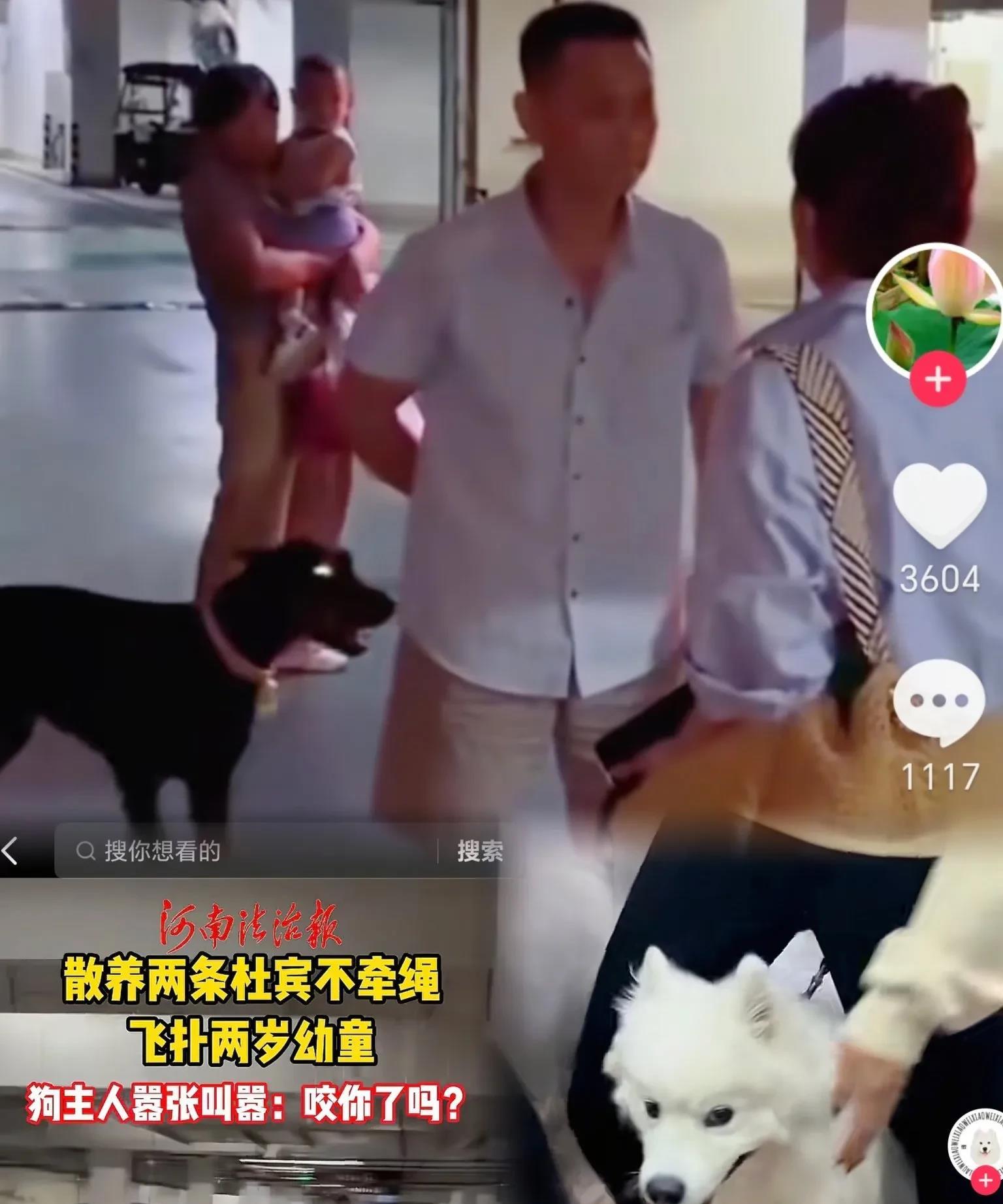 丹阳杜宾的女主人，能不能出来道个歉！网友都气不过，说直接报警，城市里不准养烈