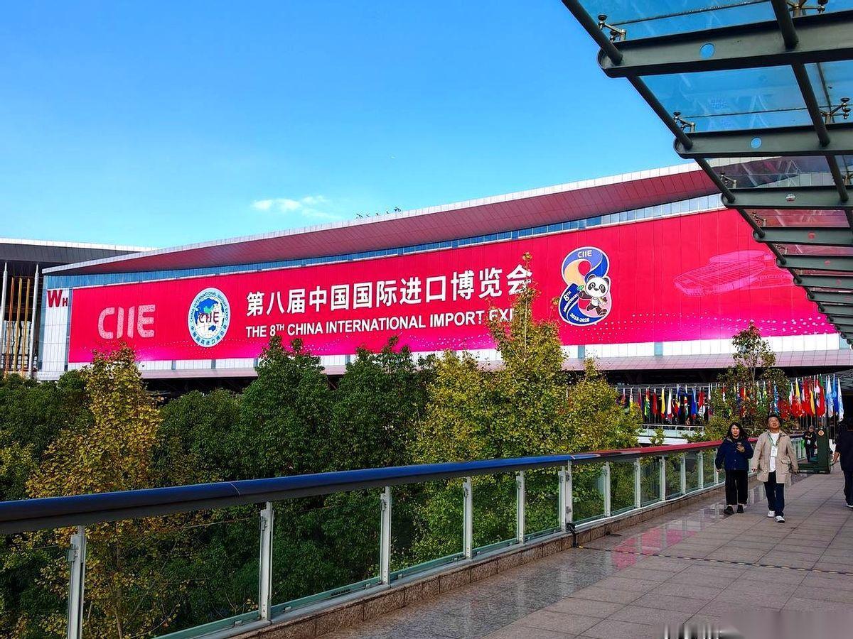 赶在进博会最后一天去捡漏，结果发现，最大的“漏”可能是我自己。整个场子，透着一