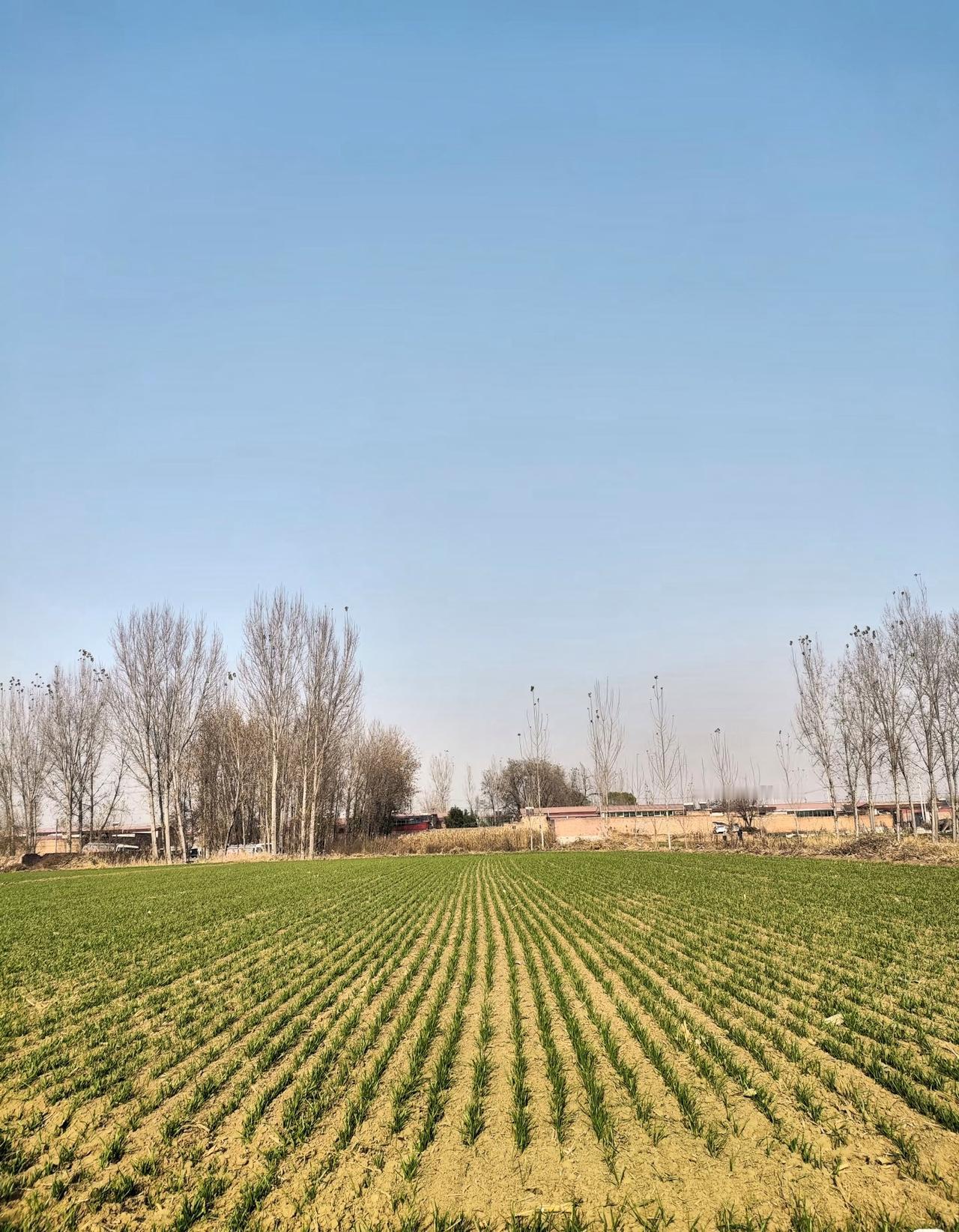 2026年3月30日，这日子得记住了，殡葬新规要正式落地。说白了就是大力推行