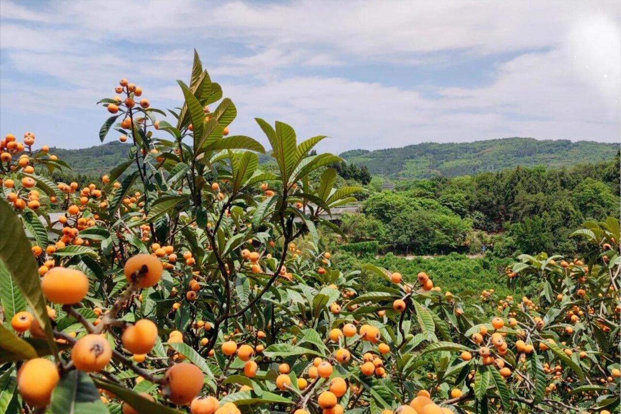 🍊五月去西山岛摘枇杷，这家民宿包吃住人均130一天，三餐地道农家菜，麻将免费，