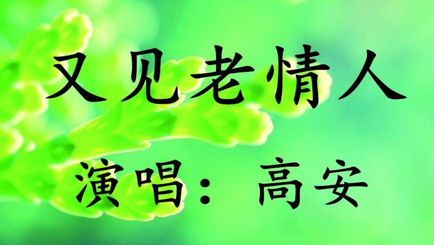 再见情人简谱_再见简谱张震岳(2)