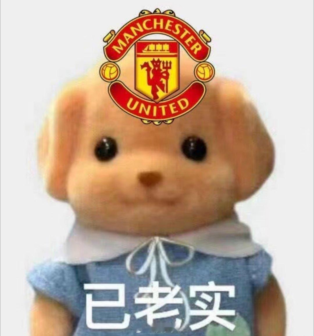 长期看曼联，已无人再能伤害我。我内心坚如磐石，痛苦的阈值已让各种挫折高不可攀。[