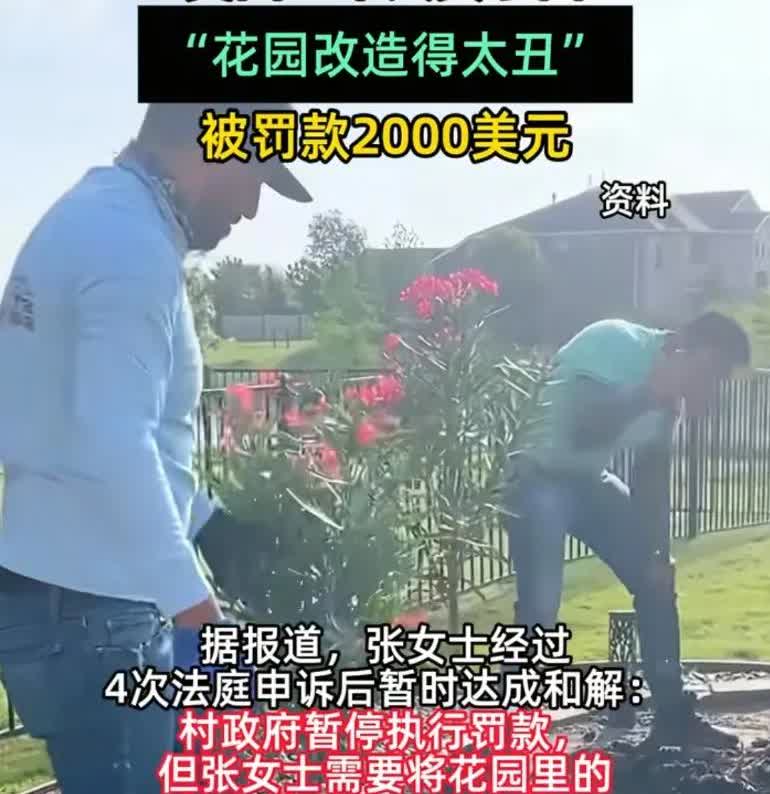 中国人到了美国，因为“花园改造太丑”，被罚款2000美元，而她的花园吸引了很多蜜