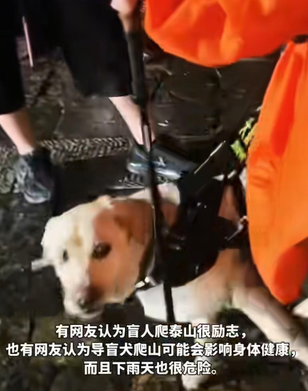它是你的眼睛，不是你的工具，眼睛“瞎”也是有原因的。看到一对盲人夫妻带着导盲
