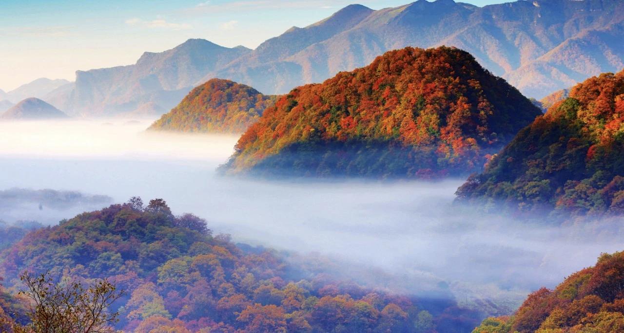 【冲动就像个魔鬼，很容易让我们说出伤人的话，伤害到别人的心，结果往往两败俱伤】