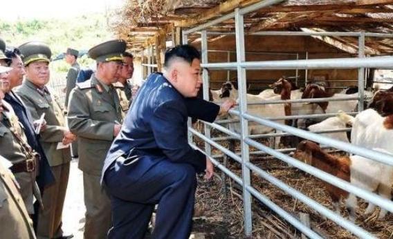 朝鲜人很少吃猪肉。不是朝鲜人不想吃或少吃猪肉，而是对于绝大多数普通民众来说，猪肉