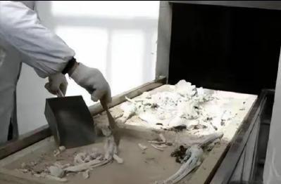 一位在火葬场奉献大半辈子的老者向我透露，多达90%之人并不知晓，遗体火化后，和大