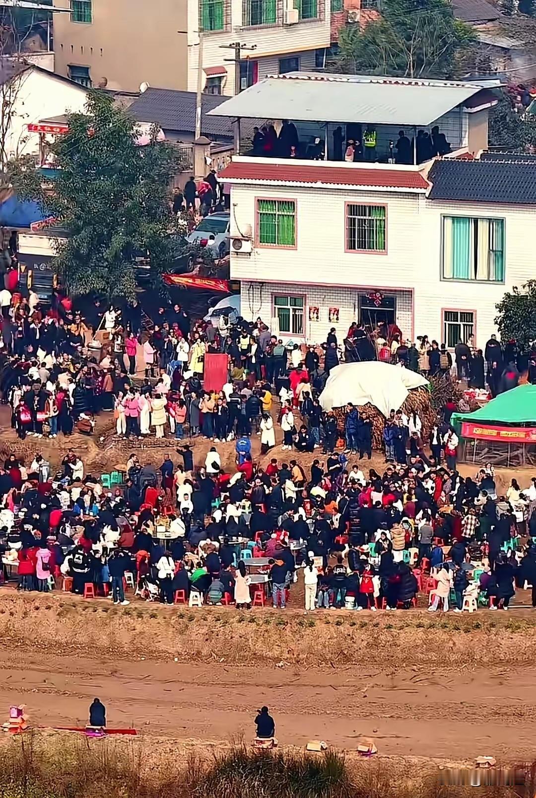 呆呆说这次闯乁大祸，太累太折腾了，说明年不杀猪了。合川文旅急了，说明年