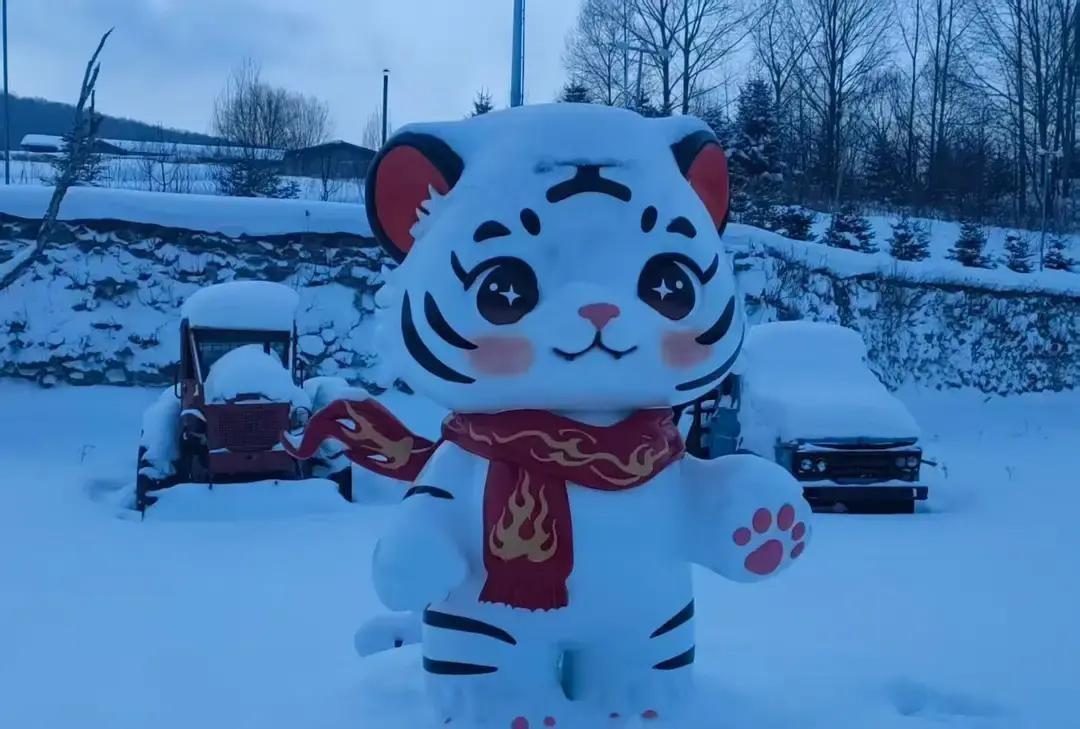 昨晚媳妇大姐来电话，商量岳母三周年扫墓。她说得回老家上坟，还要把粘豆包冻饺子一