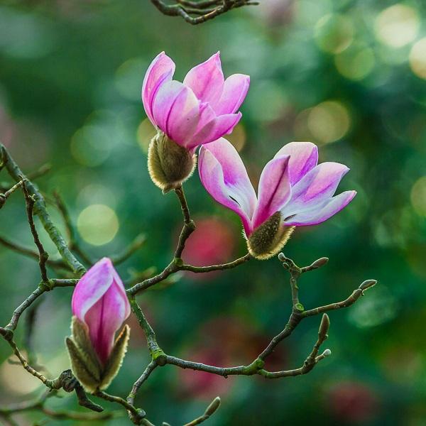 周六再度传来行业重磅消息，这些板块值得关注！周六行业迎来的重磅利好消息如下：